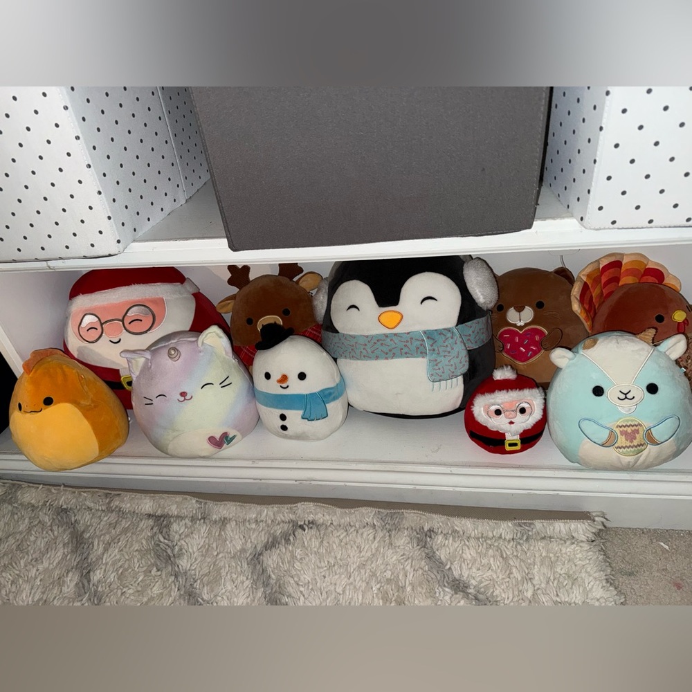 LOT of Squishmallows (10)